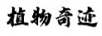 植物奇跡