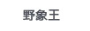 野象王