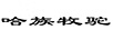 哈族牧駝