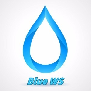 藍(lán)水靈（Blue Ws）