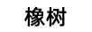 橡樹
