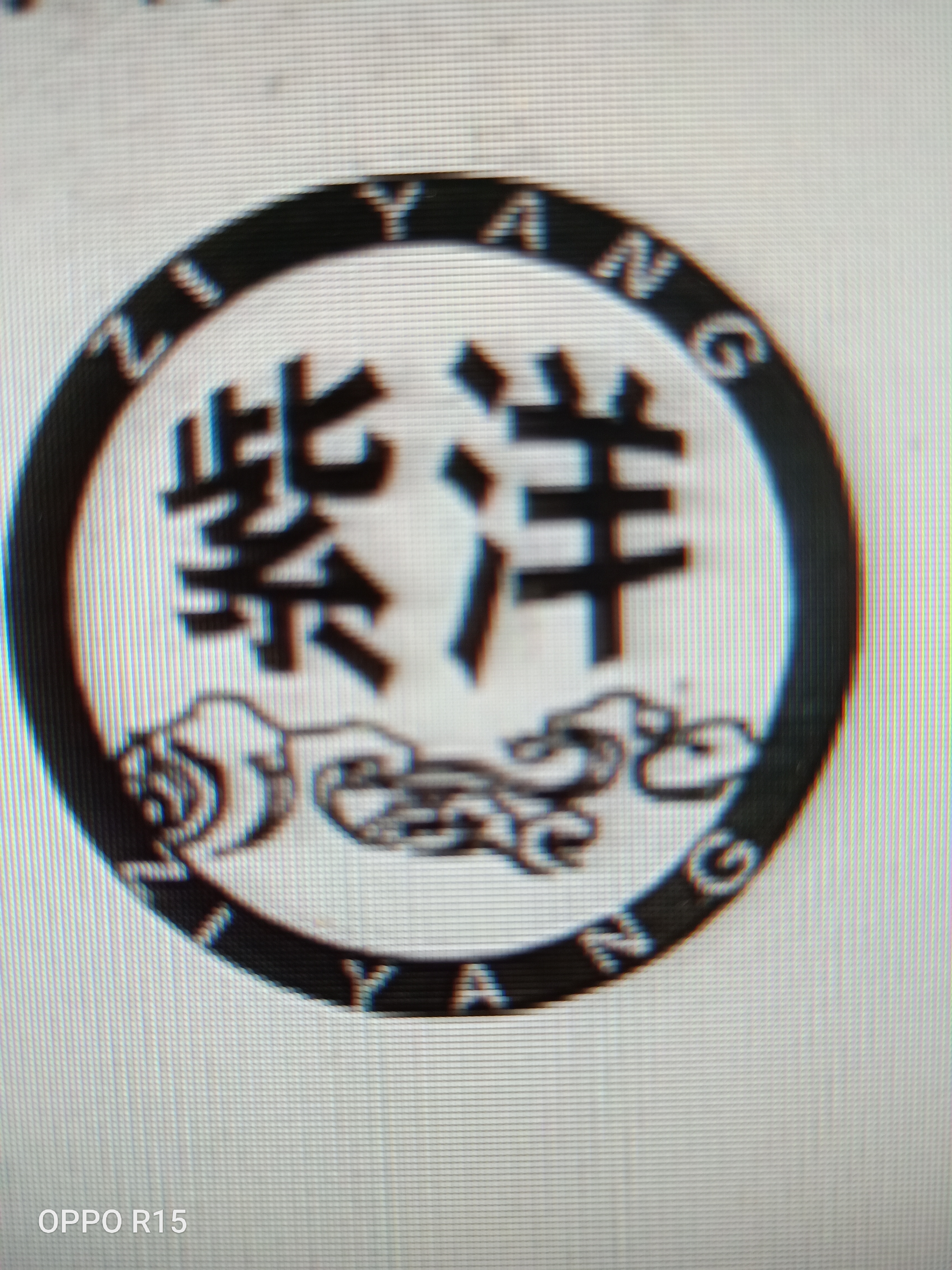 紫洋（ZIYANG）
