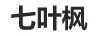 七葉楓