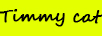 Timmy cat
