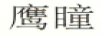 鷹瞳