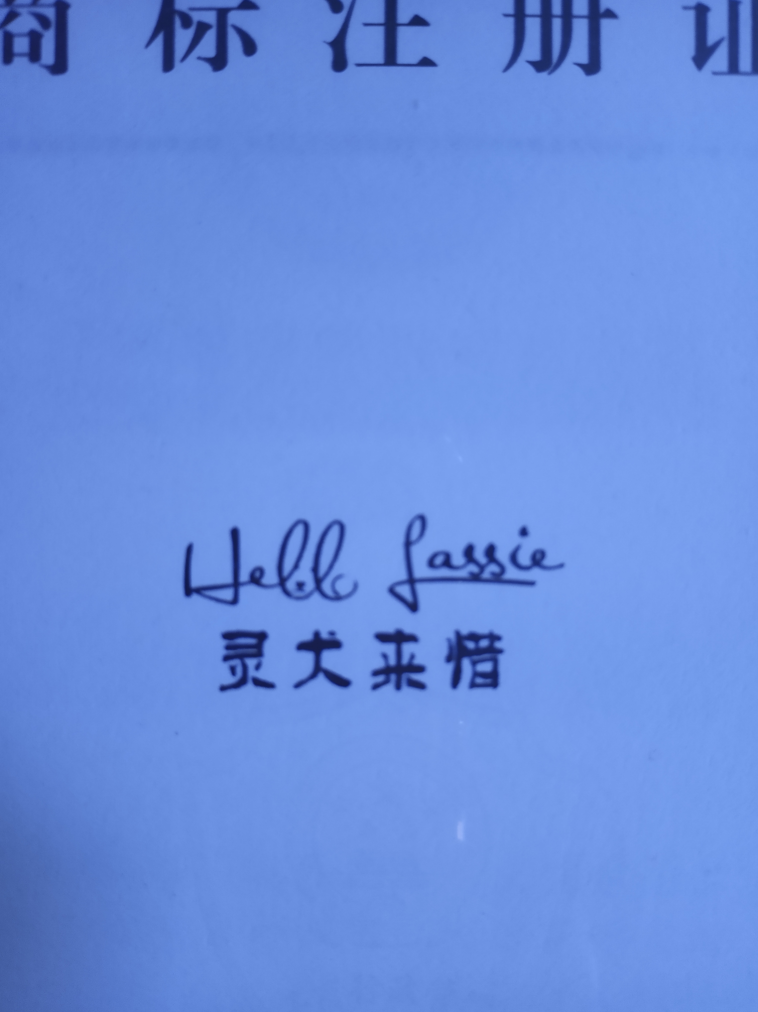 靈犬來惜（Hello Lassie）