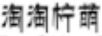 淘淘檸萌