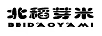 北稻芽米