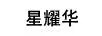 星耀華