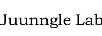JUUNNGLE LAB
