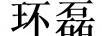環(huán)磊