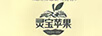 靈寶蘋果 LINGBAO APPLE