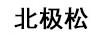 北極松