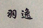 羽逸