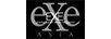 EXE