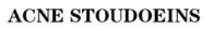 ACNE STOUDOEINS