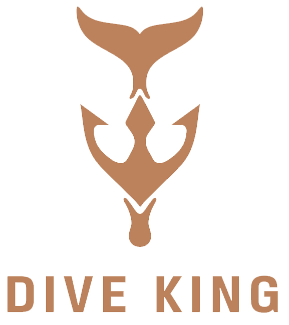 dive king