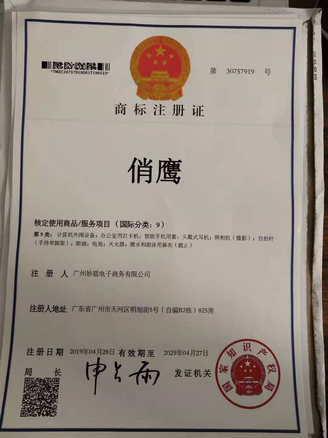 俏鷹