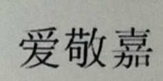 愛敬嘉（aijingjia）