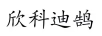 欣科迪鵠