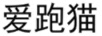 愛跑貓