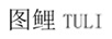 圖鯉