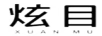 炫目