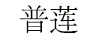 普蓮