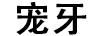 寵牙