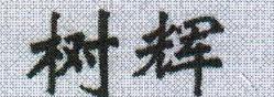 樹輝