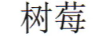 樹(shù)莓
