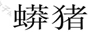 蟒豬
