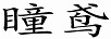 瞳鳶