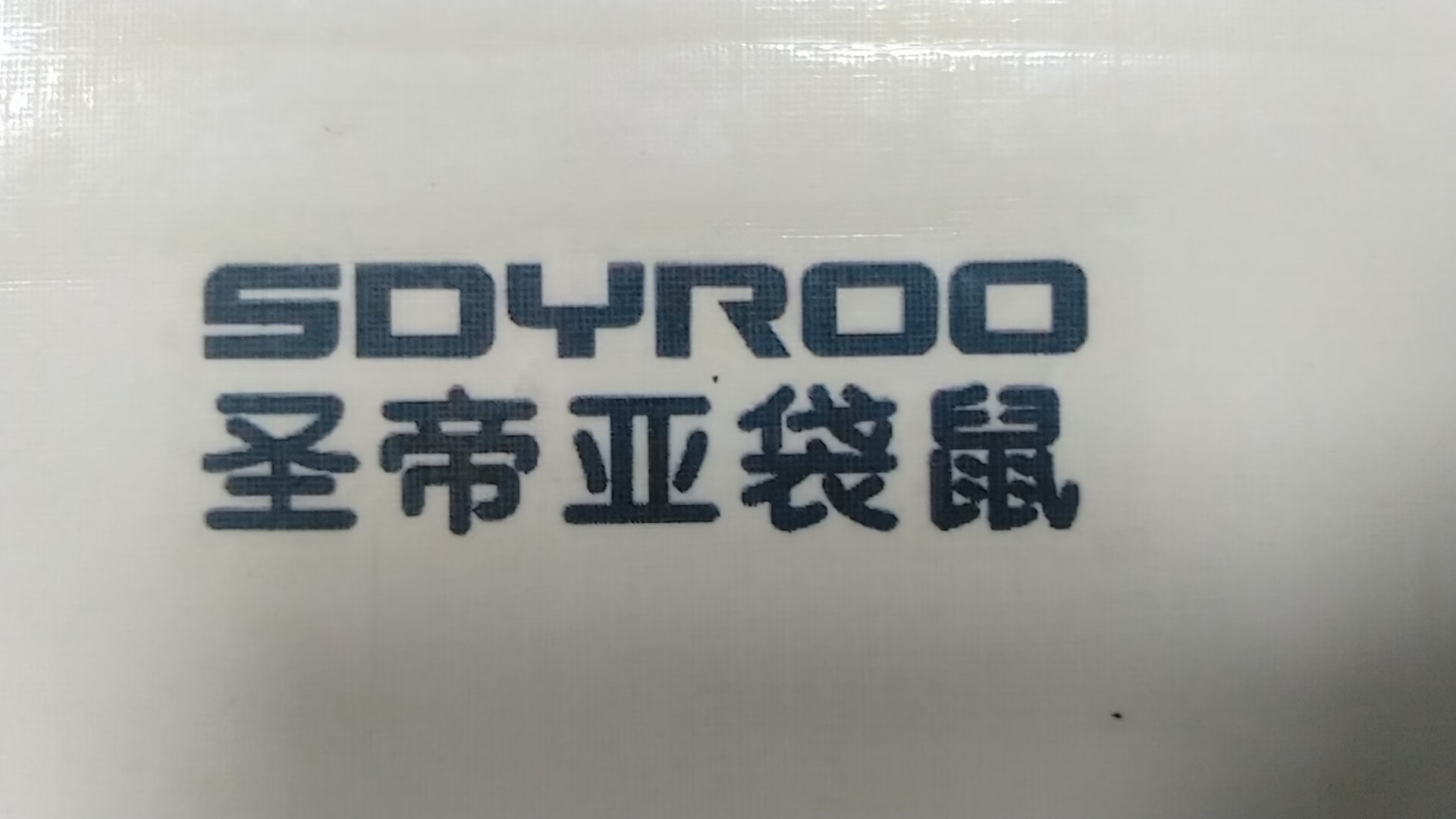 圣帝亞袋鼠（SDYROO）