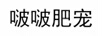 啵啵肥寵