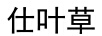 仕葉草