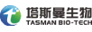 塔斯曼