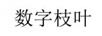 數(shù)字枝葉