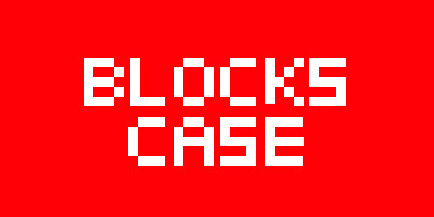 BLOCKS CASE
