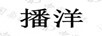 播洋