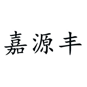 嘉源豐