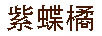 紫蝶橘