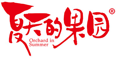 夏天的果園