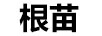 根苗