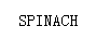 SPINACH