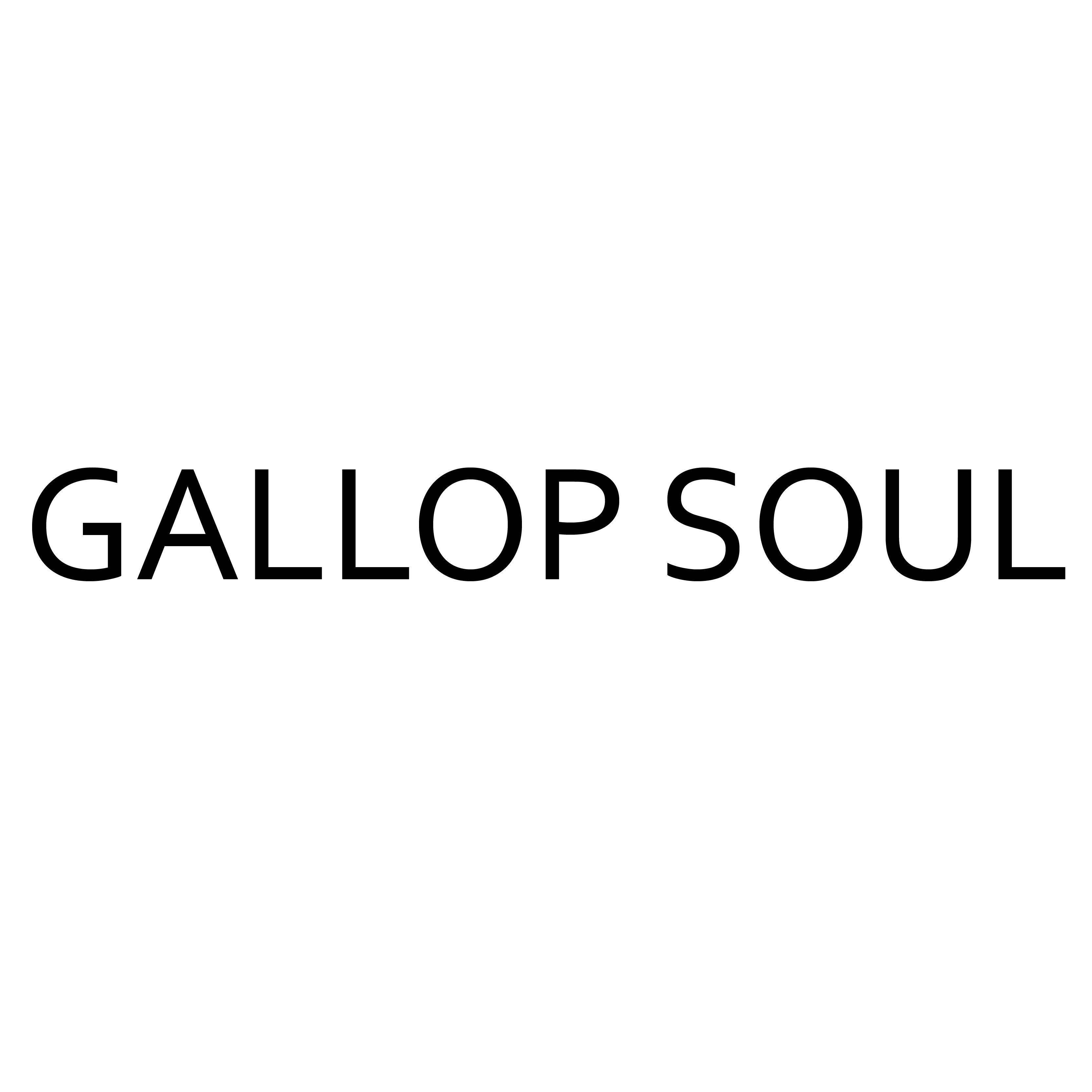 GALLOP SOUL