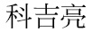 科吉亮