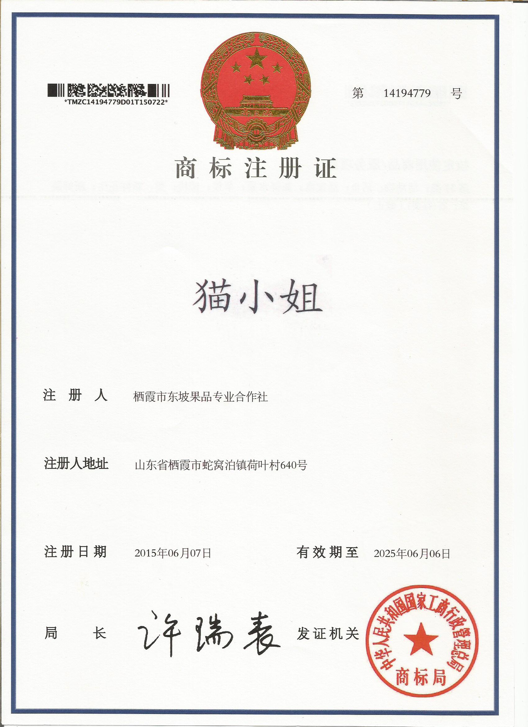 貓小姐