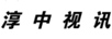 淳中視訊