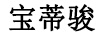 寶蒂駿